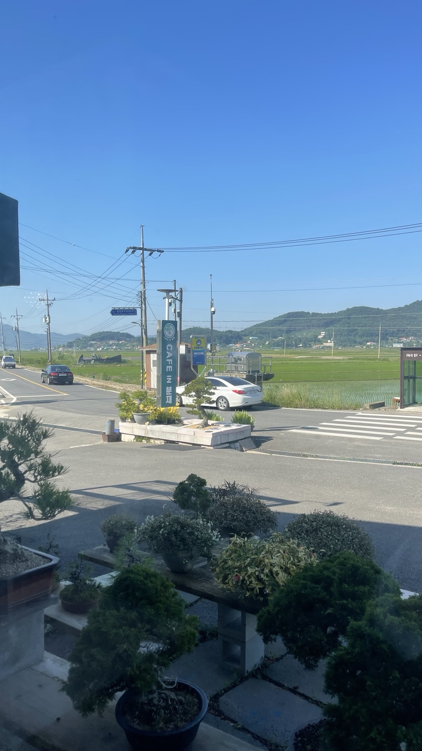 창밖 풍경