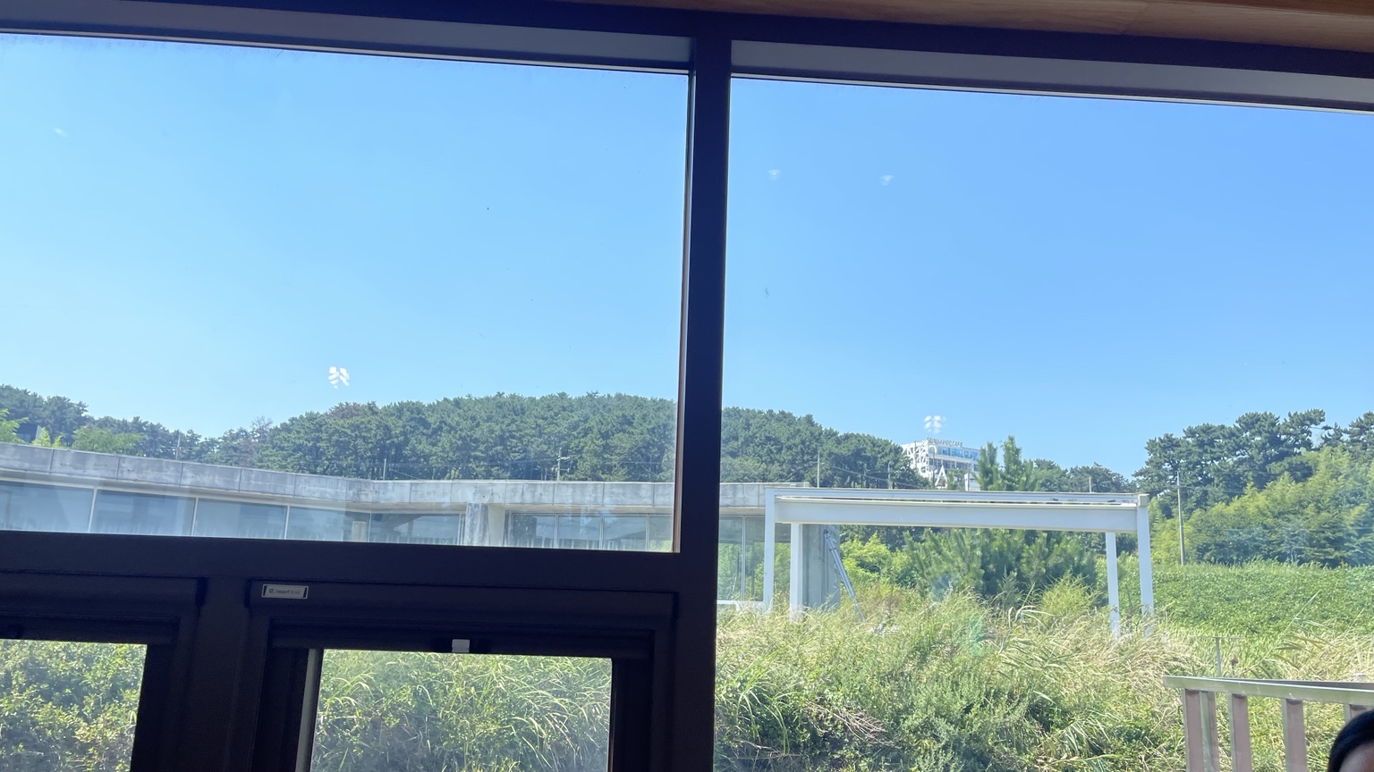 창가 자리에서 보이는 나무와 풀밭 풍경